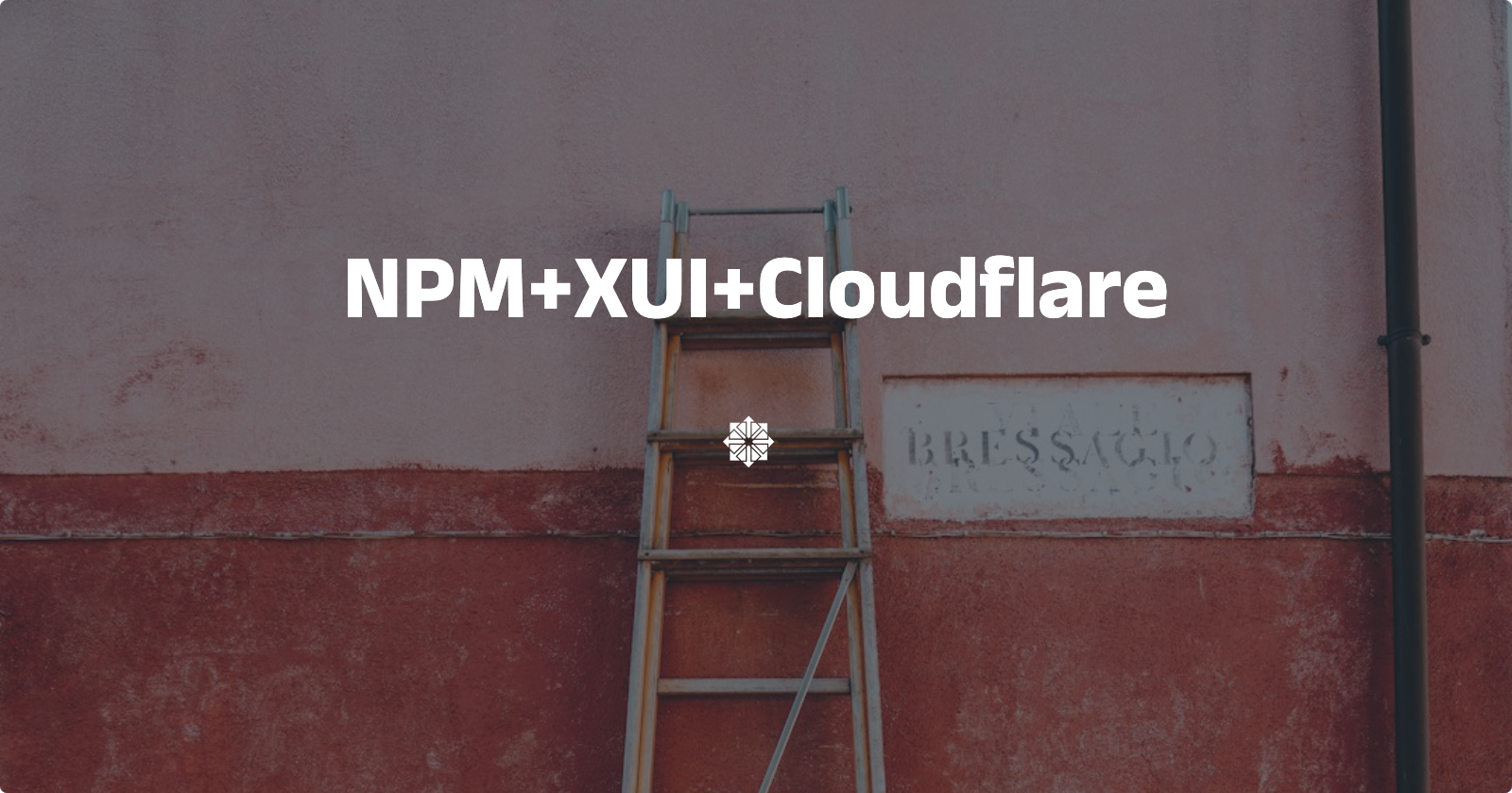NPM 与XUI 、Cloudflare共存！可破GFW，Nginx Proxy Manager 搭配 X-UI 实现 Vless+WS+TLS 教程！